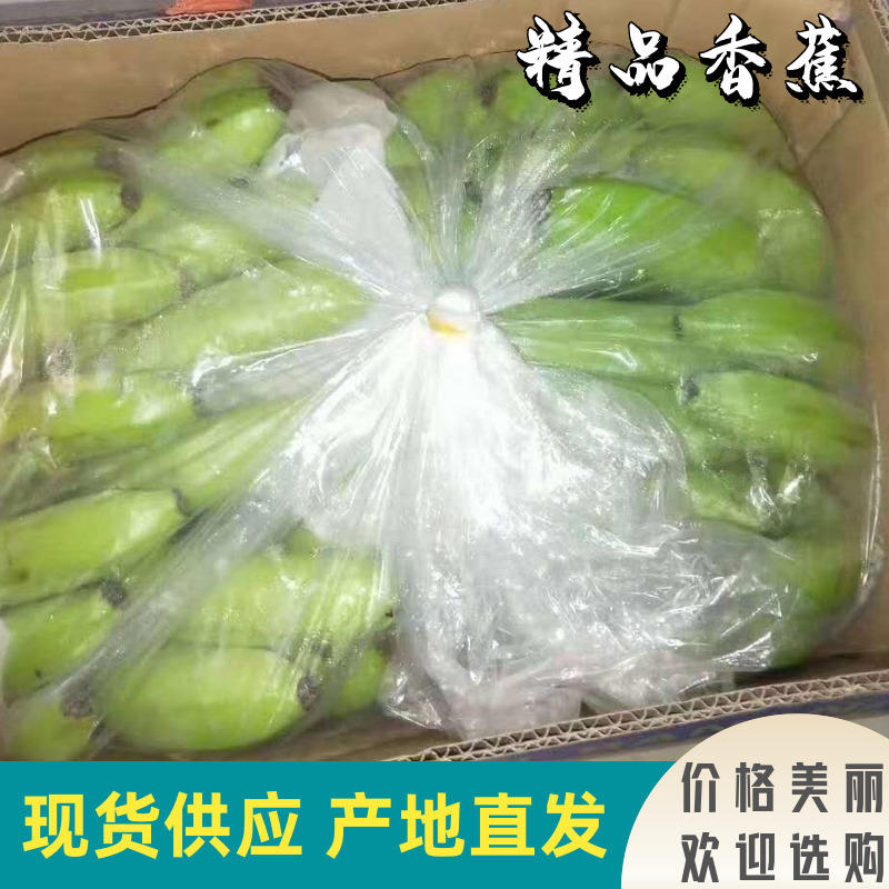 【热销】香蕉云南香蕉大量现货自有冷库可视频看货