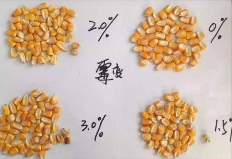 爆款脱霉兽用养殖场饲料生物脱霉牛羊鸡鸭猪用