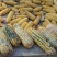爆款脱霉兽用养殖场饲料生物脱霉牛羊鸡鸭猪用