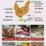 爆款脱霉兽用养殖场饲料生物脱霉牛羊鸡鸭猪用