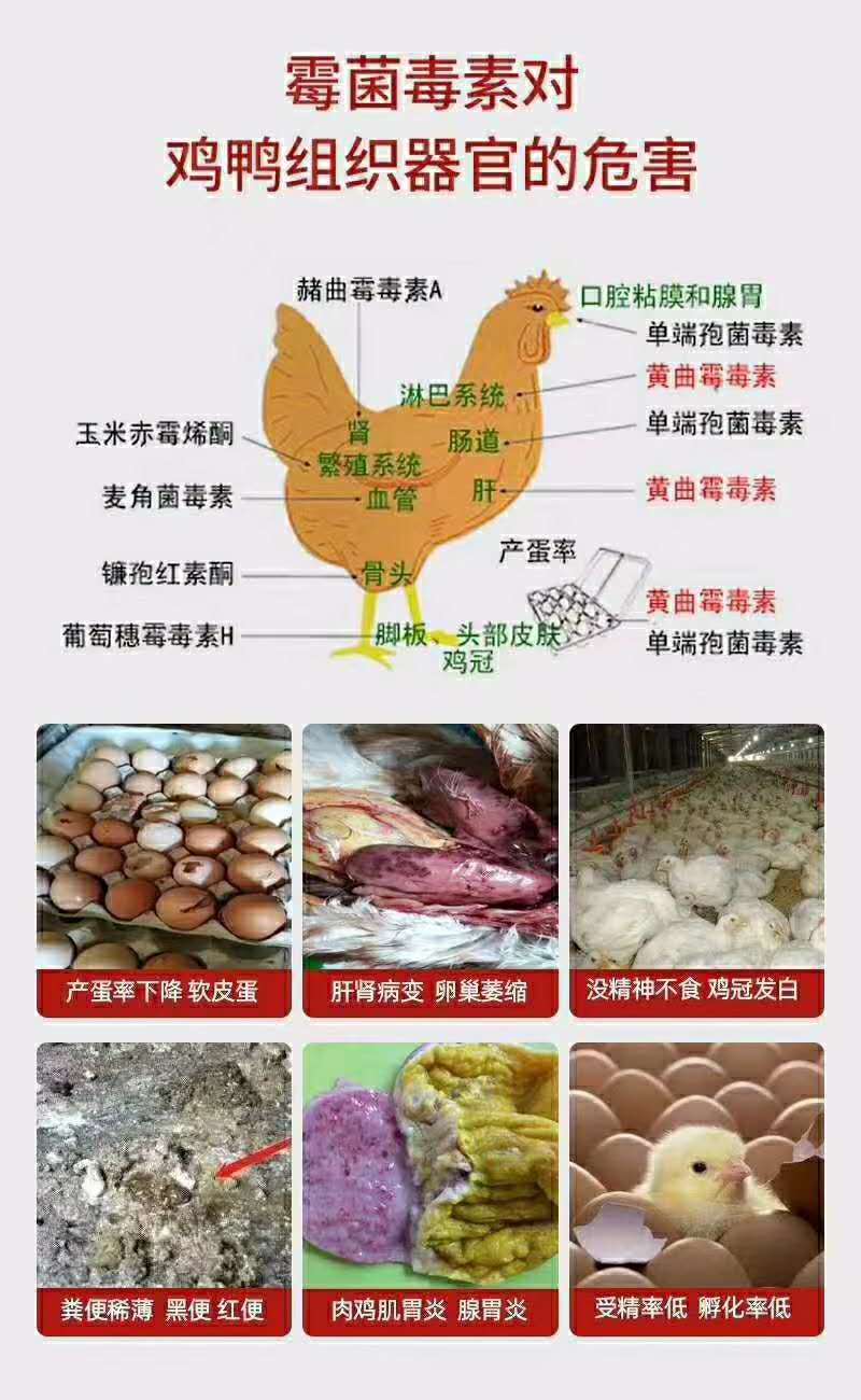 爆款脱霉兽用养殖场饲料生物脱霉牛羊鸡鸭猪用