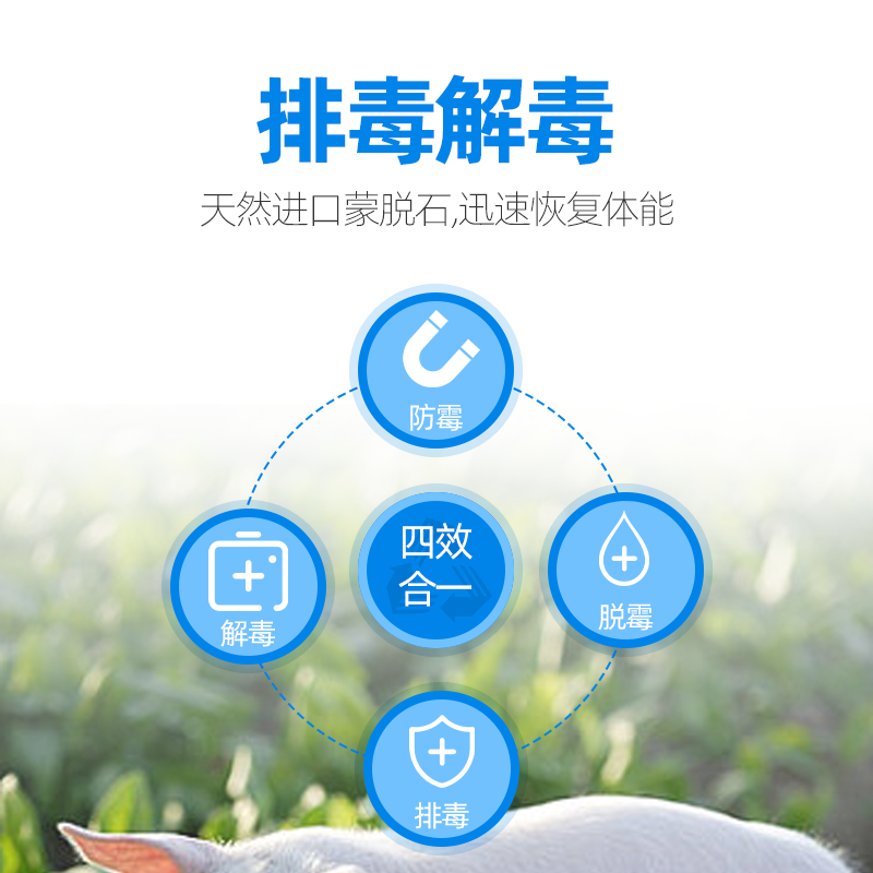 爆款脱霉兽用养殖场饲料生物脱霉牛羊鸡鸭猪用