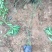 灯芯草种植基地20万灯芯草自产自销青州灯芯草