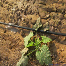 16滴灌管果蔬滴灌农用灌溉设备厂家PE管圆柱滴灌管