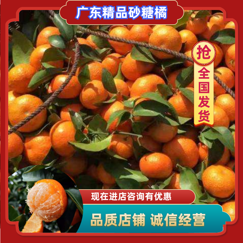 【新春特惠】精品柑橘广东砂糖橘甜蜜多汁入口化渣新鲜采摘