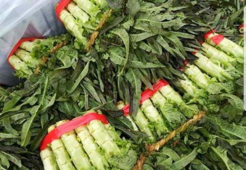 【热销】莴笋莴苣代办批发全国销售量大价优欢迎咨询