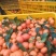 【新春特惠】精品柑橘广东砂糖橘甜蜜多汁入口化渣新鲜采摘