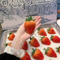 iMeiMax【魔法圣诞版】丹东99红颜草莓创意礼物礼