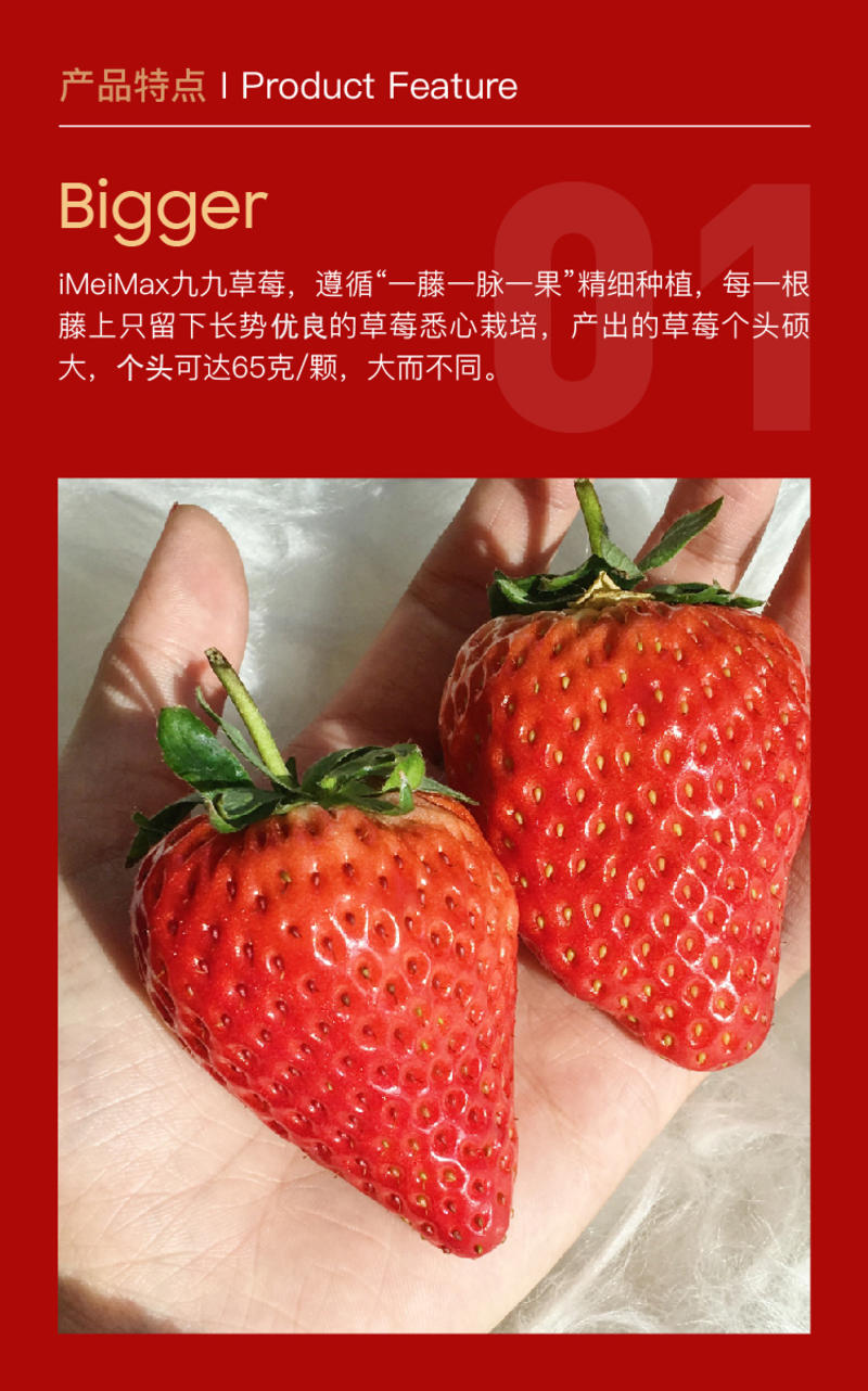 iMeiMax【新春贺岁版】丹东网红红颜99草莓网红
