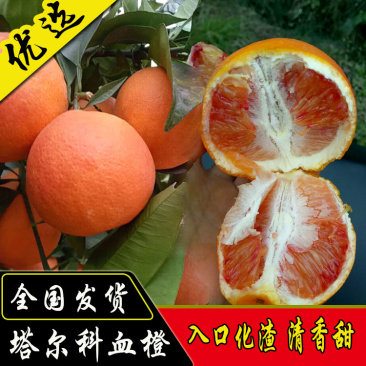 资中塔尔科血橙，果大，皮薄，汁多，入口化渣，清香甜。