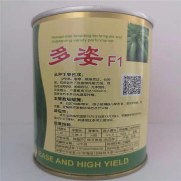 多姿西葫芦种子杂交中早熟耐寒西葫芦种子大棚陆地均可播种