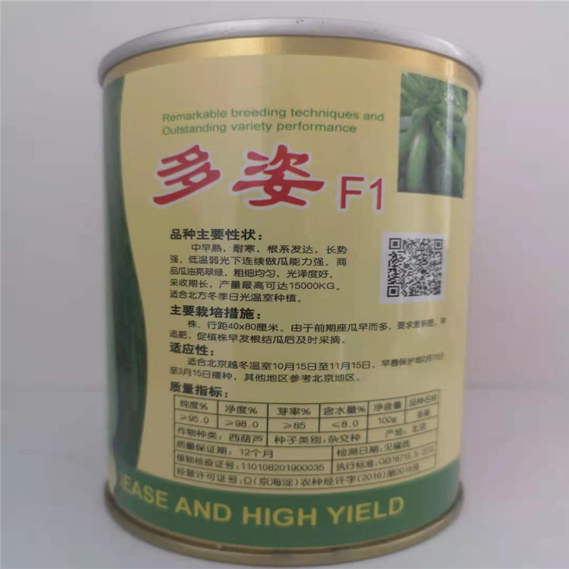 多姿西葫芦种子杂交中早熟耐寒西葫芦种子大棚陆地均可播种