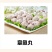 火锅丸子_蔬菜丸子_海鲜丸子_肉丸子_狮子头