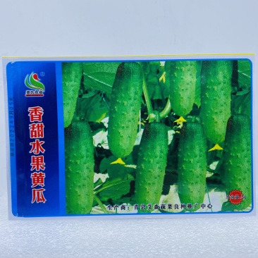 水果黄瓜种子早熟口感好农家小院种植优选品种春秋种植