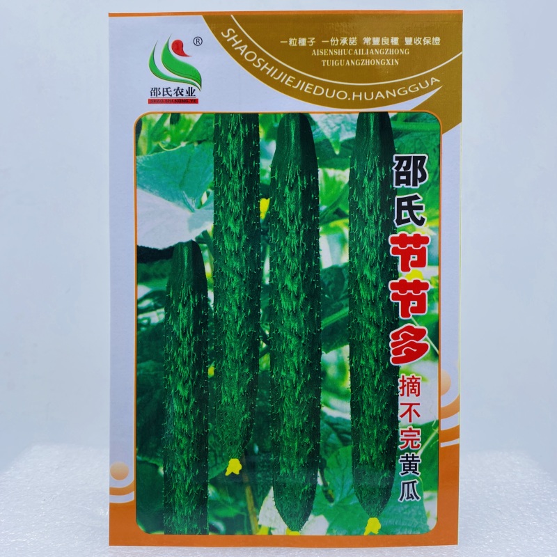 水果黄瓜种子早熟口感好农家小院种植优选品种春秋种植