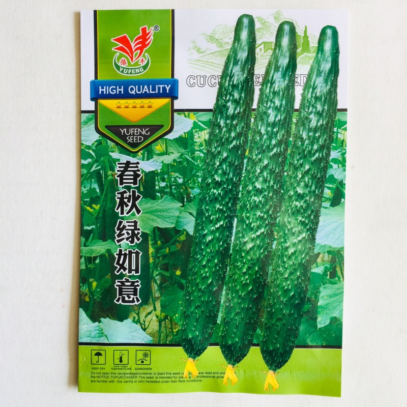 黄瓜种子长势强瓜条油亮口感好抗病高产大田用种