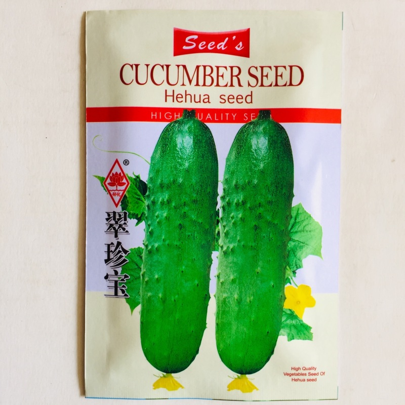 黄瓜种子长势强瓜条油亮口感好抗病高产大田用种