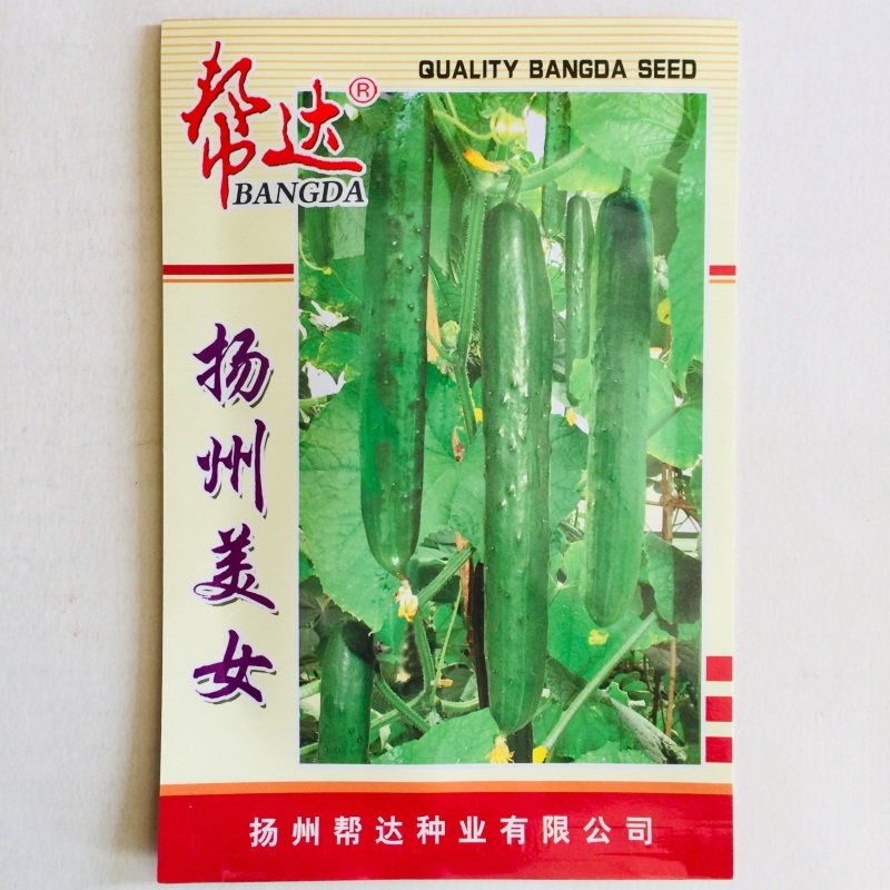 黄瓜种子早熟抗病强产量高商品性好水果黄瓜种子春秋种植