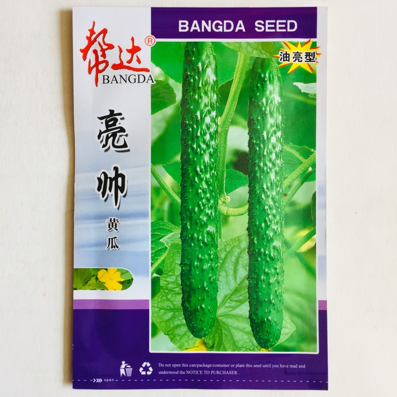 黄瓜种子早熟抗病强产量高商品性好水果黄瓜种子春秋种植