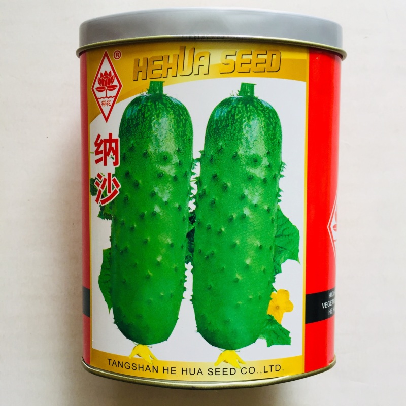 黄瓜种子早熟抗病强产量高商品性好水果黄瓜种子春秋种植