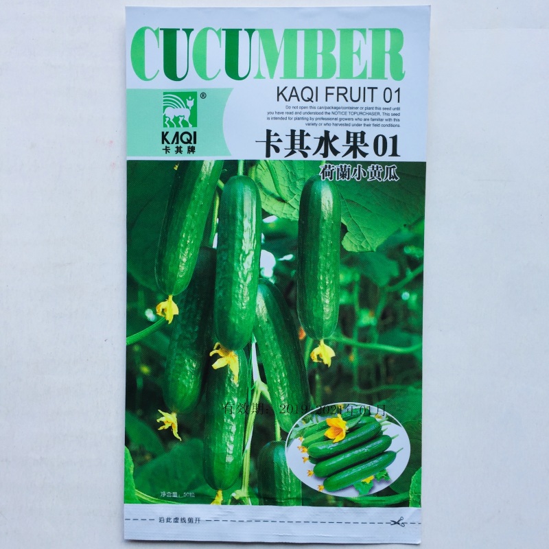 黄瓜种子瓜码密瓜型顺直油亮产量高商品性好春秋种植