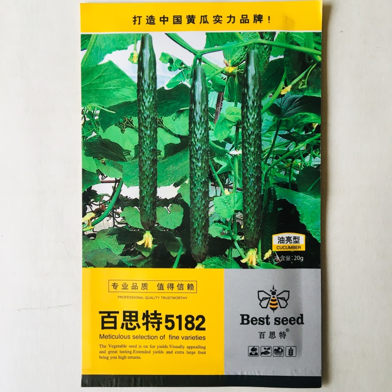 黄瓜种子瓜码密瓜型顺直油亮产量高商品性好春秋种植