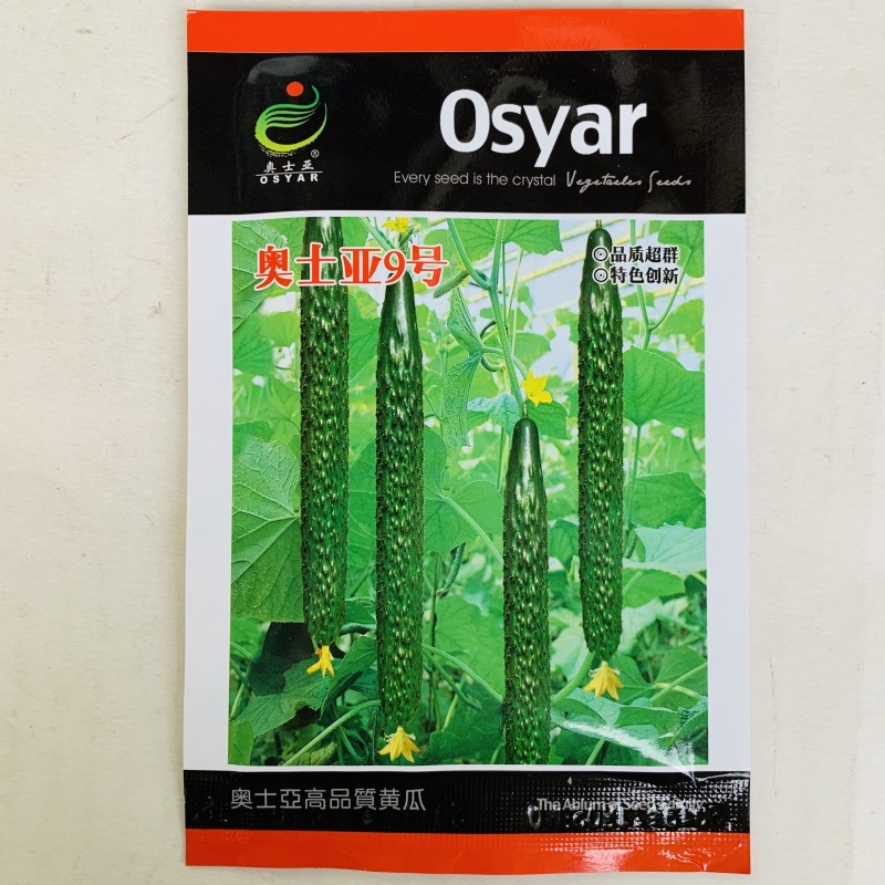 黄瓜种子瓜码密瓜型顺直油亮产量高商品性好春秋种植
