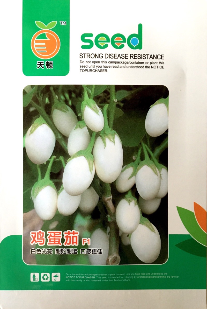茄子种子白鸡蛋茄子早熟高产抗病紫红茄子种子耐热适应广