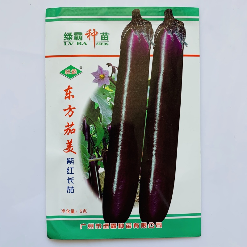 茄子种子白鸡蛋茄子早熟高产抗病紫红茄子种子耐热适应广