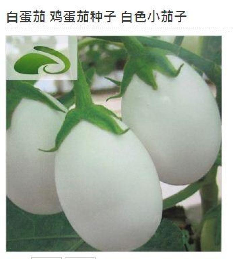 茄子种子白鸡蛋茄子早熟高产抗病紫红茄子种子耐热适应广