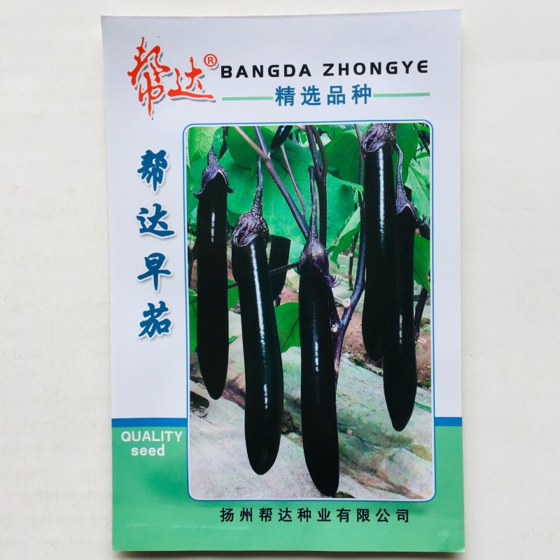 茄子种子早熟高产抗病紫红茄子黑茄子种子耐寒性强量大优惠