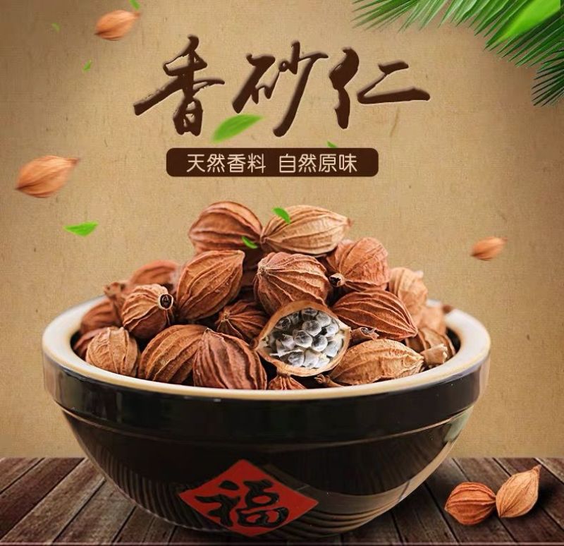 云南砂仁春砂仁香砂仁无硫砂仁破壳少合作社基地生产