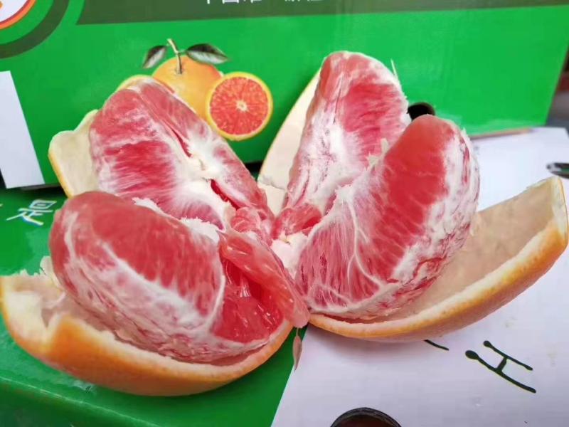 【一件代发/批发】正宗赣南血橙卡拉红肉脐橙果园现摘现发