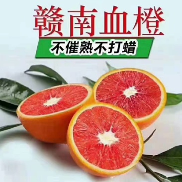 【一件代发/批发】正宗赣南血橙卡拉红肉脐橙果园现摘现发