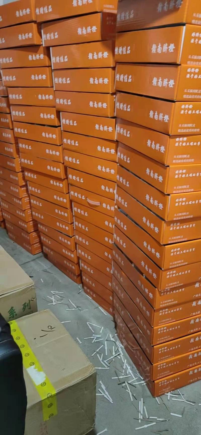 【一件代发/批发】正宗赣南血橙卡拉红肉脐橙果园现摘现发