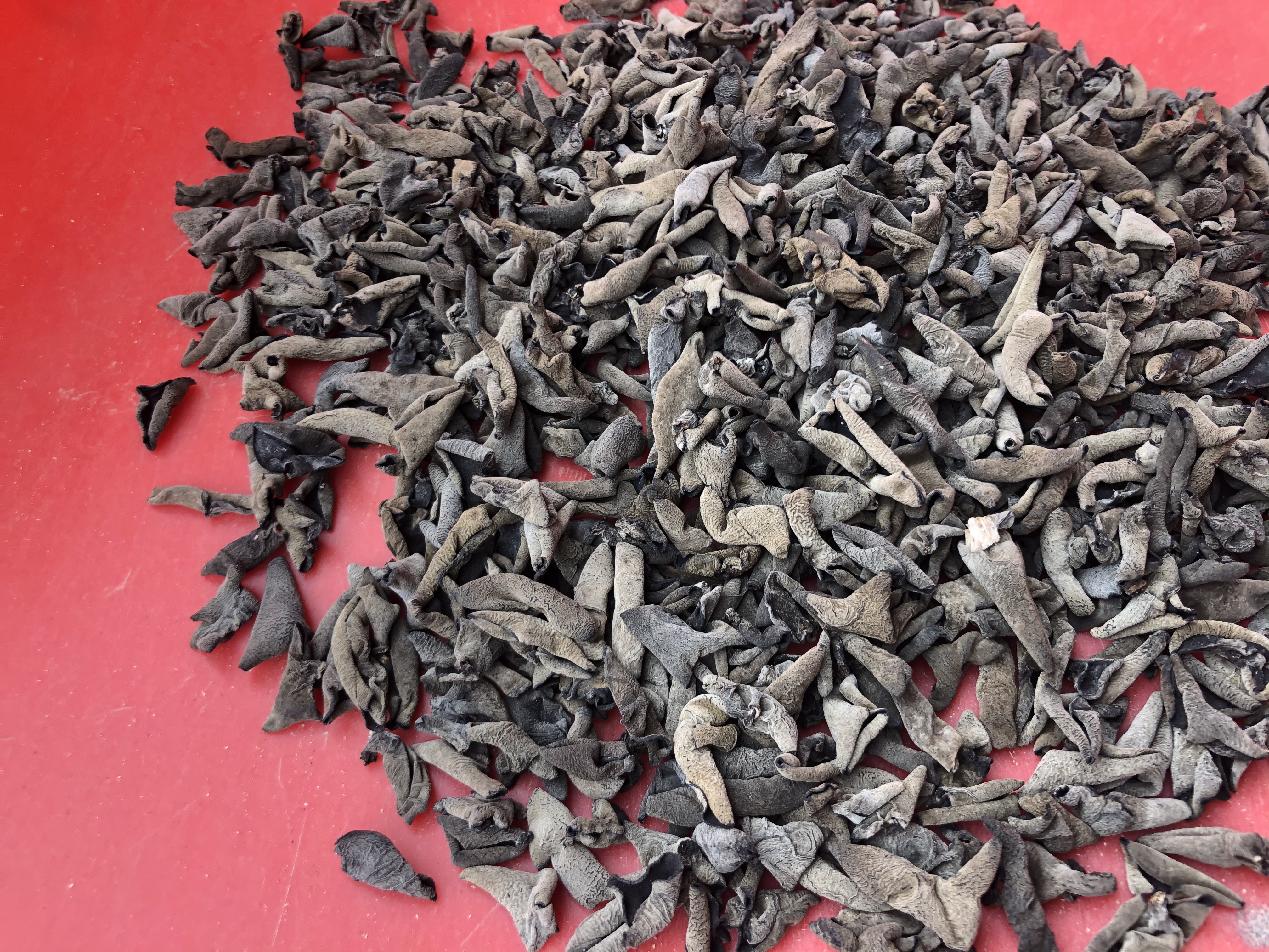 黑木耳红枣糊成品展示图