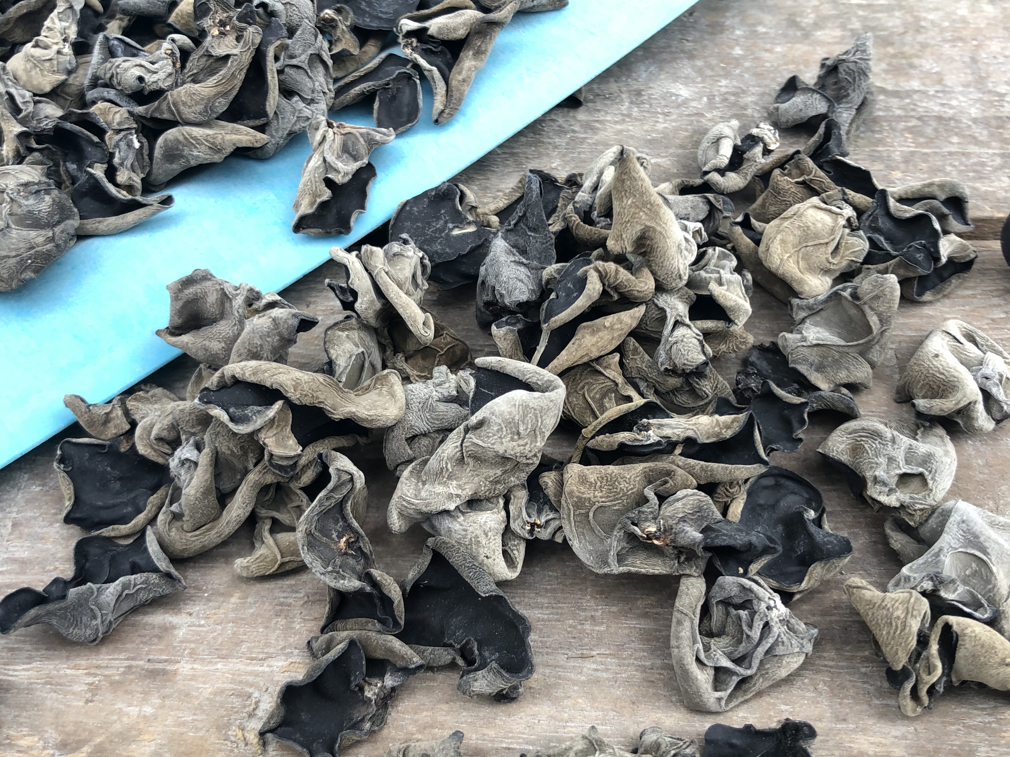 高清微距摄影:泡发充分的优质黑木耳呈半透明胶质状,边缘卷曲自然,表面布满细腻绒毛;与鲜柠檬片、金黄亚麻籽油及翠绿香葱碎同框,冷盘质感清晰,无任何热加工痕迹 黑木耳冷拌特写图