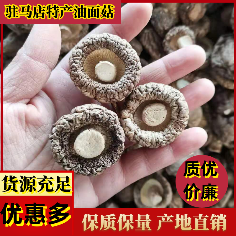 当季新货春载干香菇冬菇面菇原产地直发一手货源大量批发