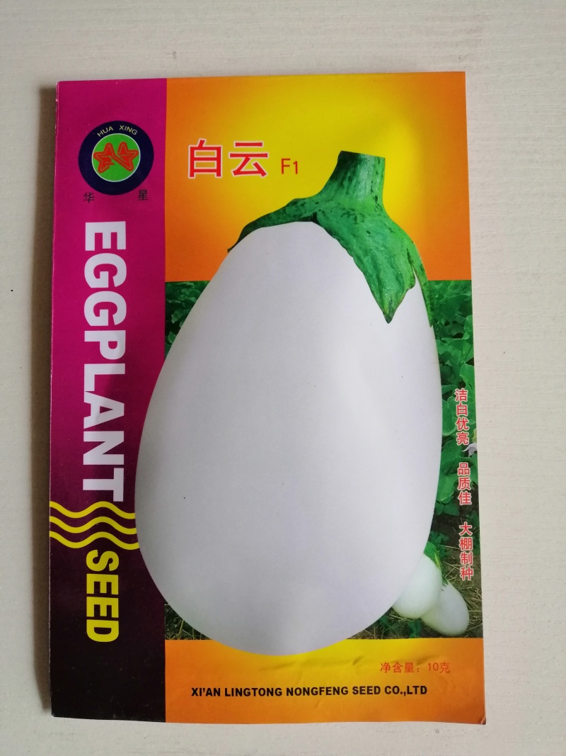 茄子种子早熟高产适应性强商品性好紫黑茄子绿茄子种子