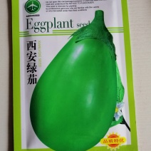 茄子种子早熟高产适应性强商品性好紫黑茄子绿茄子种子