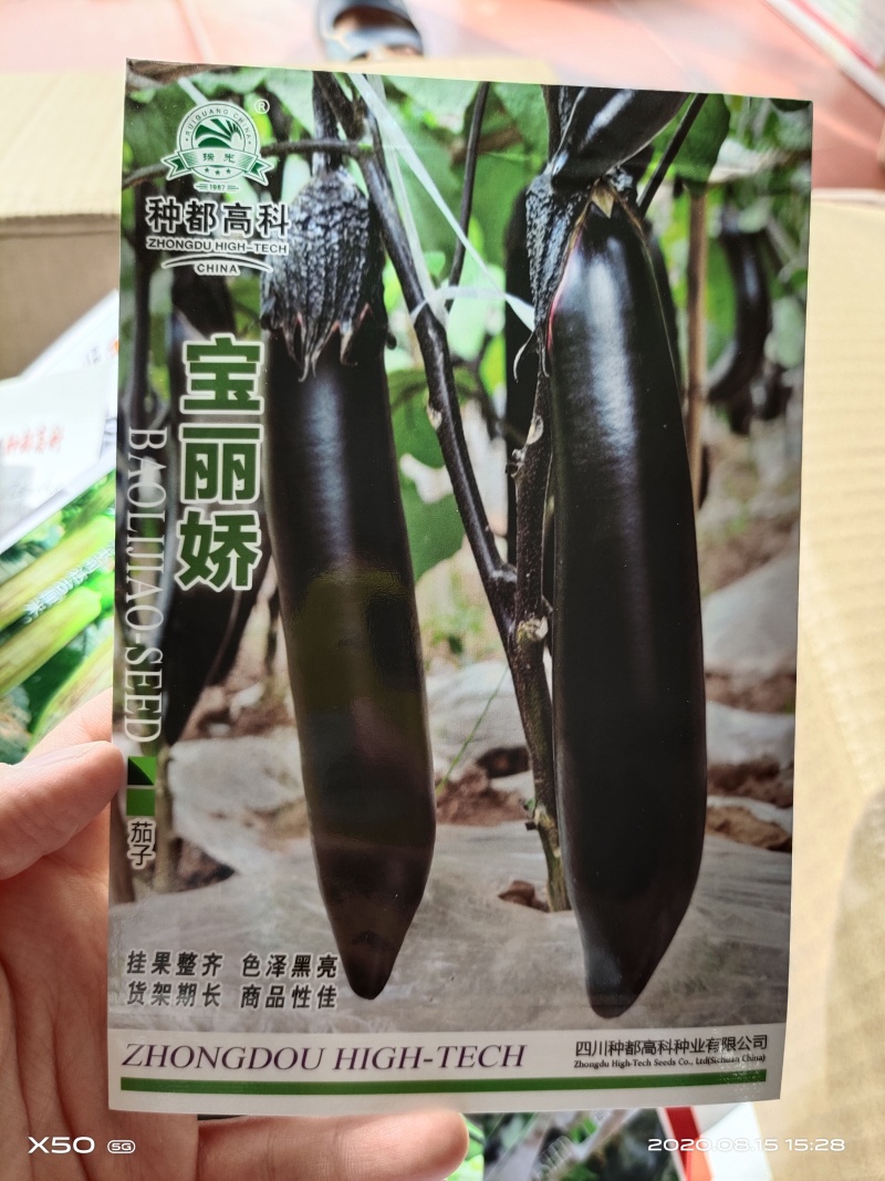 茄子种子早熟高产适应性强商品性好紫黑茄子绿茄子种子