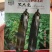 茄子种子黑色长茄子早熟高产抗病耐运输，保护地种植