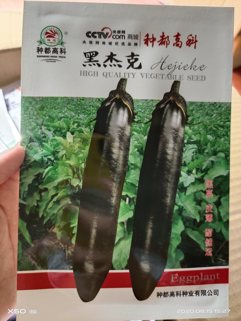 茄子种子黑色长茄子早熟高产抗病耐运输，保护地种植