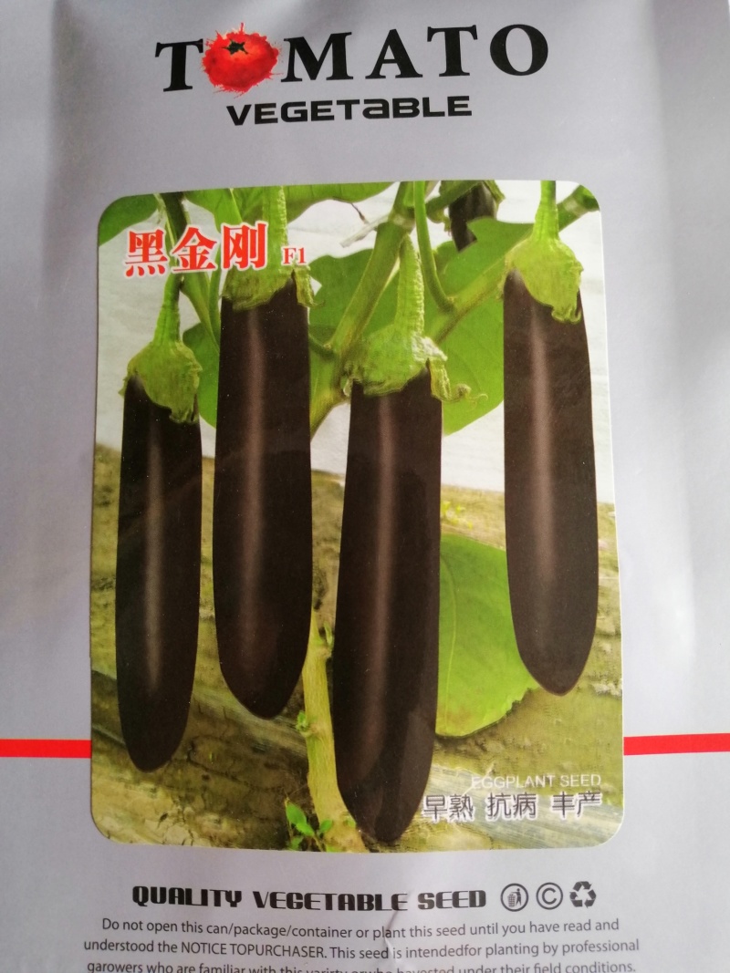 茄子种子黑色长茄子早熟高产抗病耐运输，保护地种植