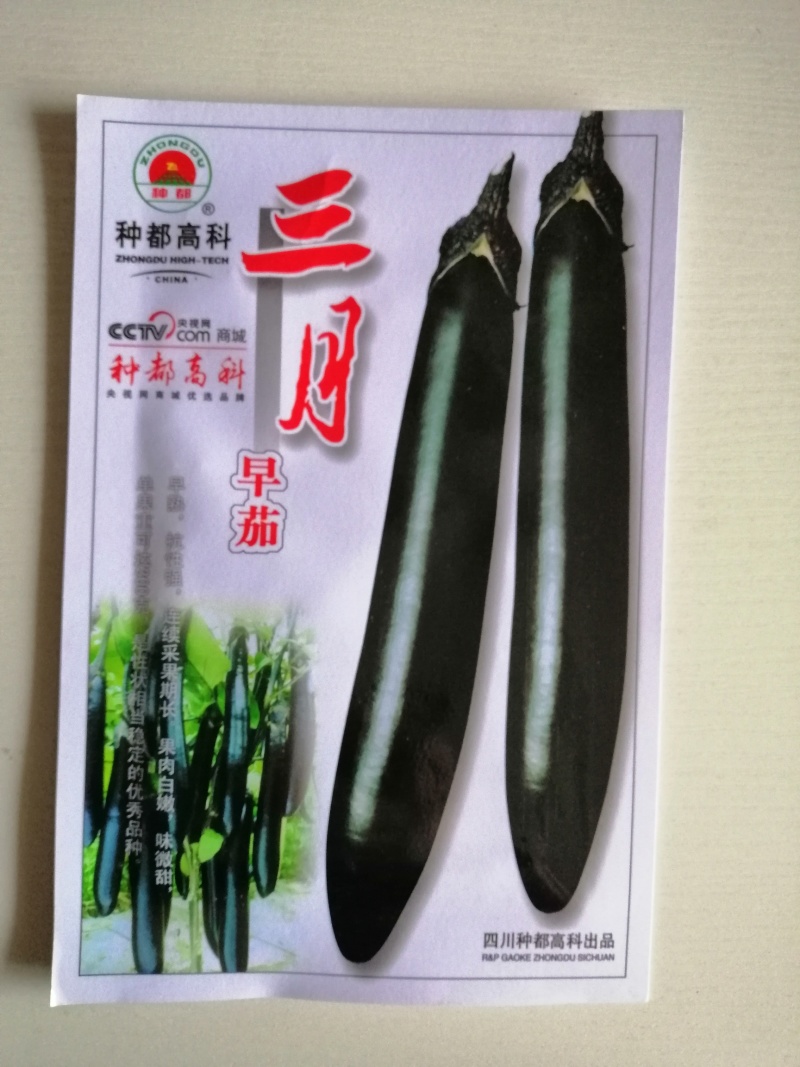 茄子种子黑色长茄子早熟高产抗病耐运输，保护地种植