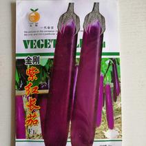 茄子种子紫红长茄子种子杭州红茄种子早熟高产耐运输商品性好