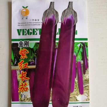 茄子种子紫红长茄子种子杭州红茄种子早熟高产耐运输商品性好