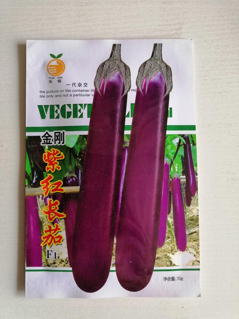 茄子种子紫红长茄子种子杭州红茄种子早熟高产耐运输商品性好