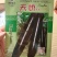 茄子种子紫红长茄子种子杭州红茄种子早熟高产耐运输商品性好
