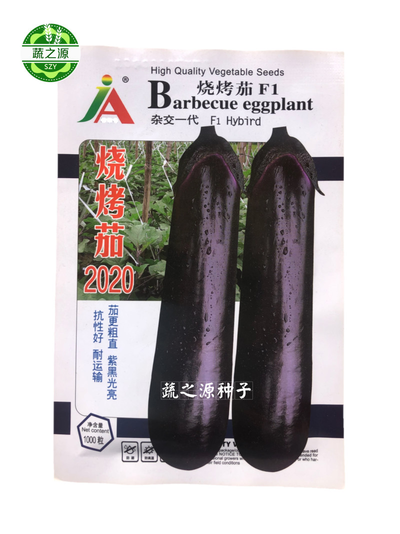 烧烤茄2020种子紫红长茄种子1000粒华南茄瓜高产基